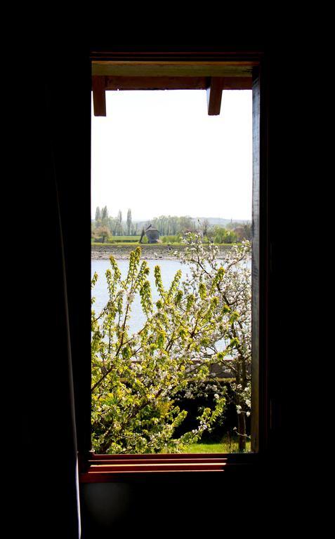 En Bord De Seine Bed & Breakfast Duclair Oda fotoğraf